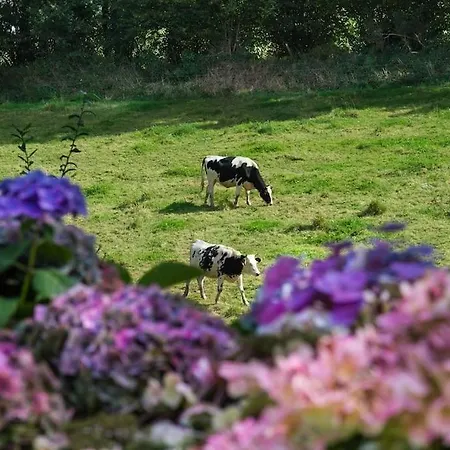 Magnificent French With Private Heated Pool & Gardens Feriehus