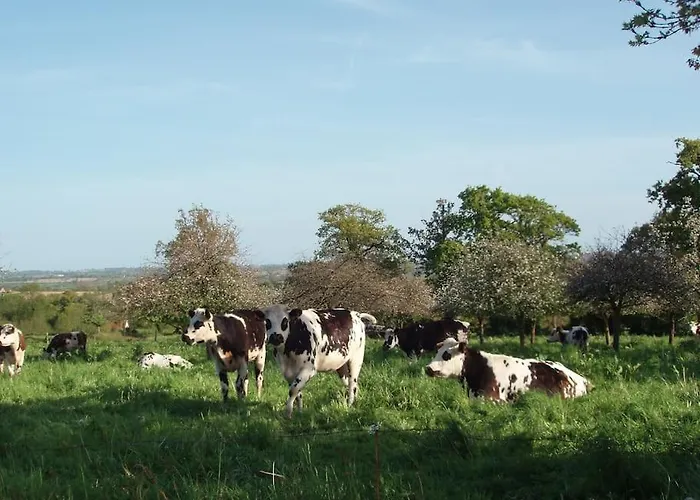 Magnificent French With Private Heated Pool & Gardens Quettreville-sur-Sienne