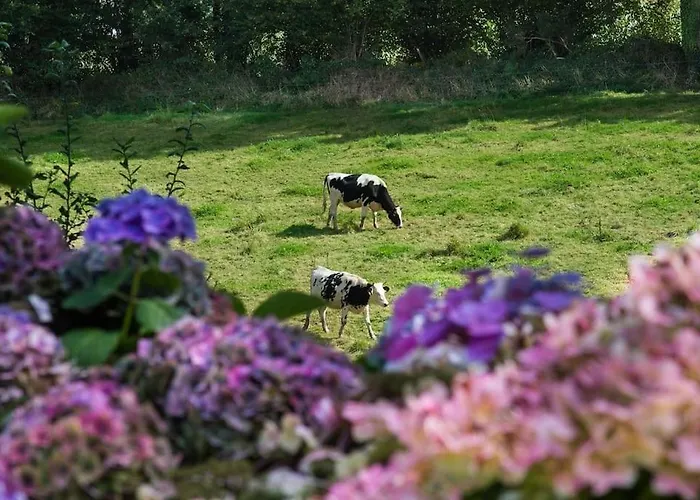 Magnificent French With Private Heated Pool & Gardens Σπίτι διακοπών